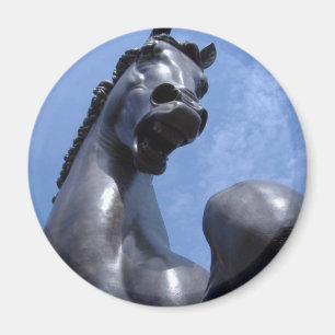 Trojan Horse Magnet