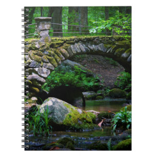 Troll Bridge - Notebook