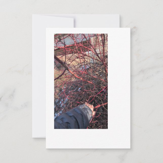 Troll Geocache Card (Front)