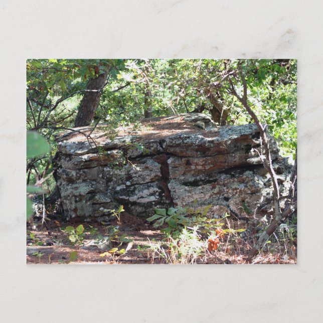 Troll House Postcard (Front)