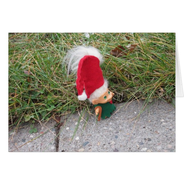 Troll on a stroll (Front Horizontal)