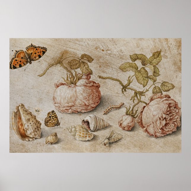 Trompe l'oeil Still Life -Jan van Kessel the Elder Poster (Front)