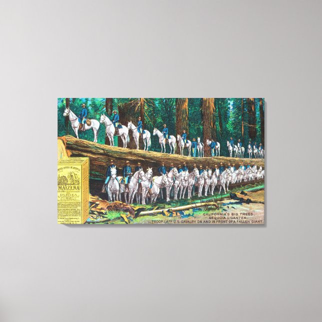 Troop I on and in front of Fallen Giant Canvas Print (Front)
