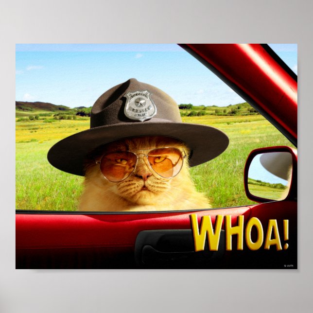 Trooper Cat Poster (Front)