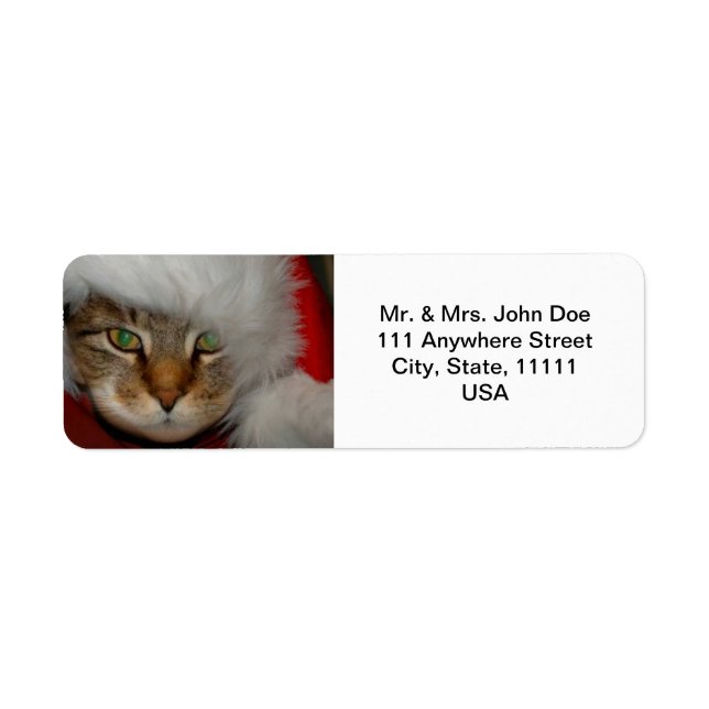 "Trooper The Cat" Sandpaper Kisses Address Labels (Front)