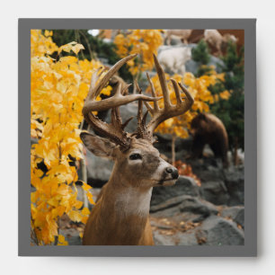 Trophy Deer Envelope
