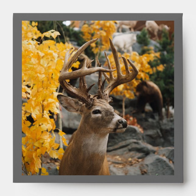 Trophy Deer Envelope (Front)