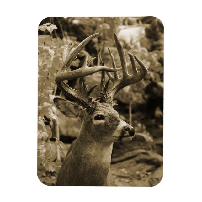 Trophy Deer Magnet (Vertical)