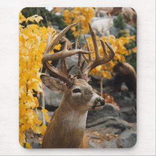 Trophy Deer Mouse Mat