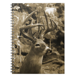 Trophy Deer Notebook