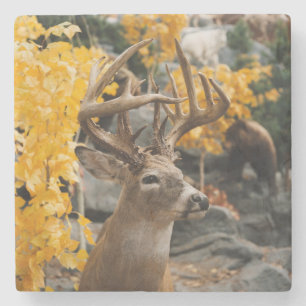 Trophy Deer Stone Coaster
