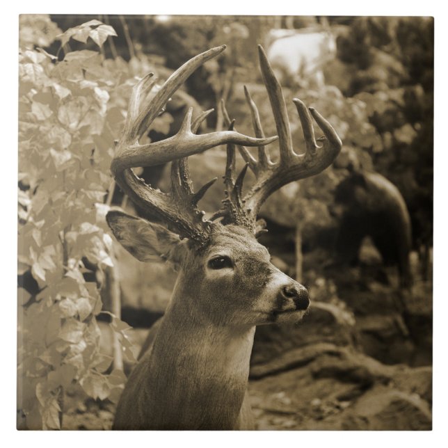 Trophy Deer Tile (Front)