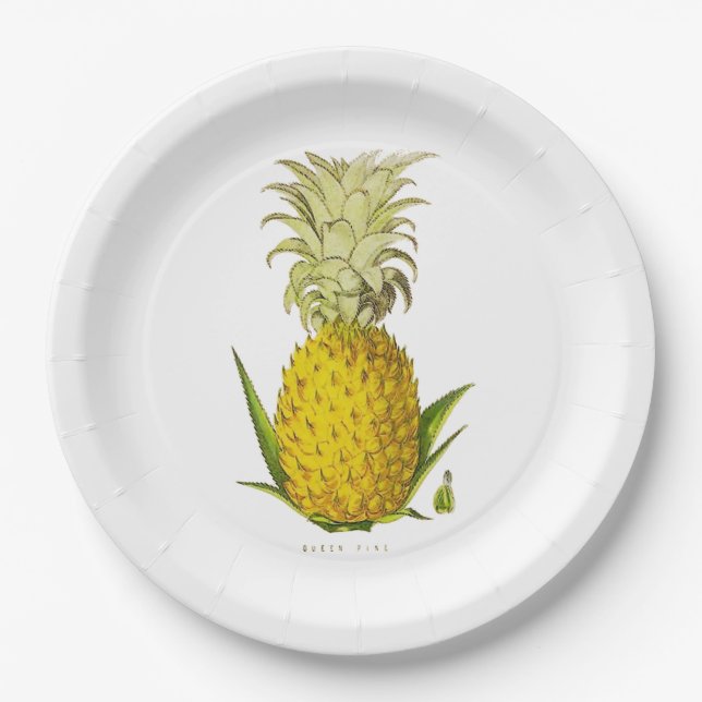 Tropical Accent Pineapple Vintage Illustration Med Paper Plate (Front)