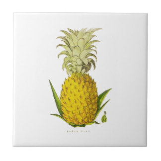 Tropical Accent Pineapple Vintage Illustration Tile