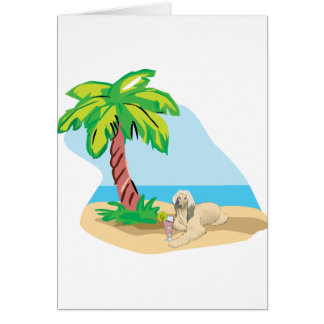 Tropical Afghan Hound