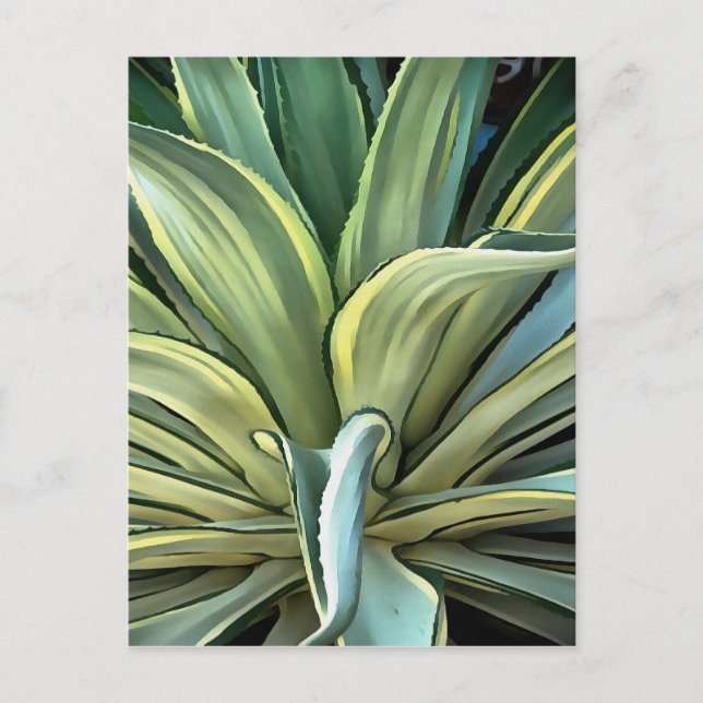 Tropical Agave Realism Art Postcard (Front)
