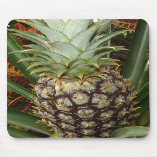 Tropical Backyard Pineapple Mousepad