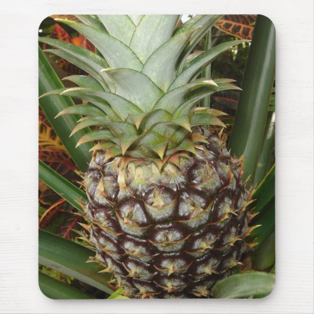 Tropical Backyard Pineapple Mousepad (Front)