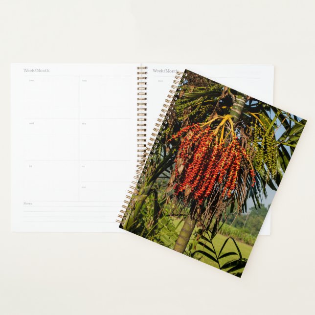 Tropical Bali Palm Fruit Planner (Display)
