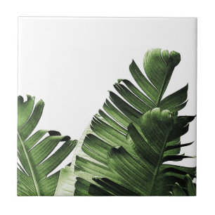 Tropical Banana Leaf Tile