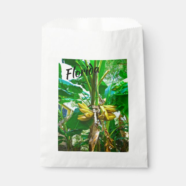 Tropical Banana Palm Tree St Augustine Florida Favour Bags (Front)