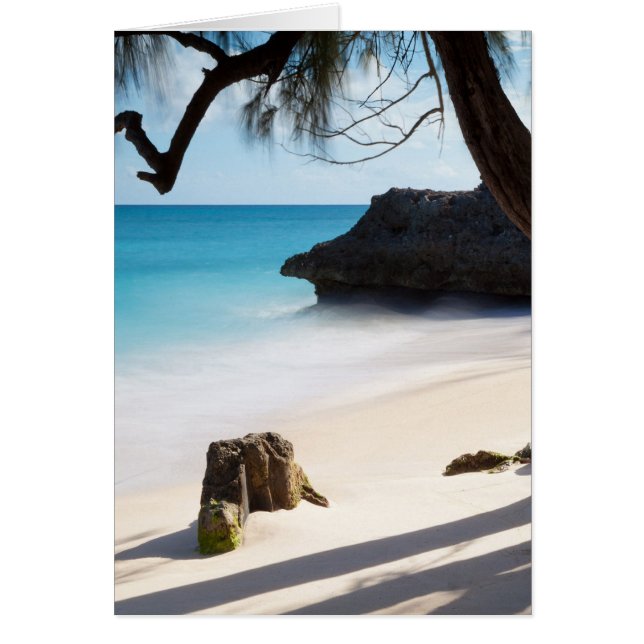 Tropical Beach (Front)