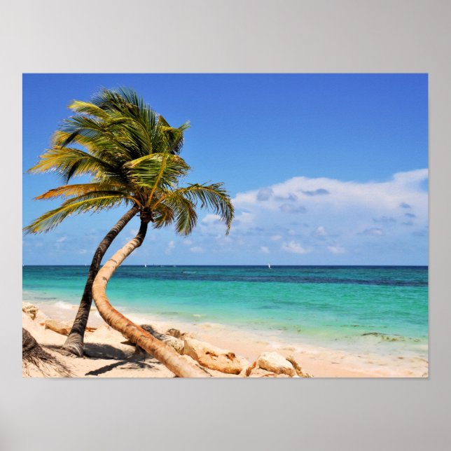 Tropical Beach And Palm Tree Poster (Front)
