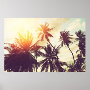 Tropical beach background with palm trees silhouet poster