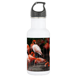 Tropical Beach Birds Destiny Flamingos 532 Ml Water Bottle