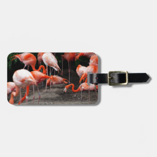 Tropical Beach Birds Destiny Flamingos Luggage Tag