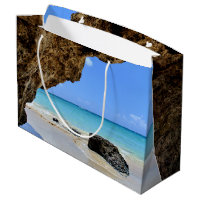 Tropical Beach Coast with a Big Rock
