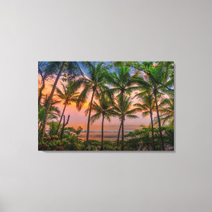 Tropical Beach Corcovado National Park Canvas Print