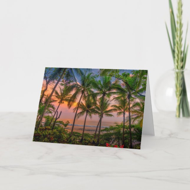 Tropical Beach | Corcovado National Park Card (Front)