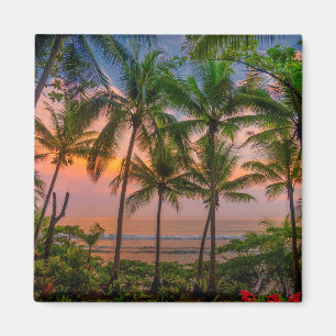 Tropical Beach   Corcovado National Park Magnet