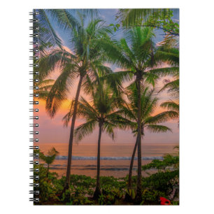 Tropical Beach   Corcovado National Park Notebook