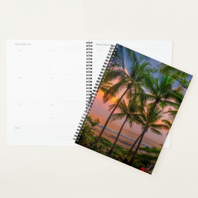 Tropical Beach | Corcovado National Park Planner (Display)