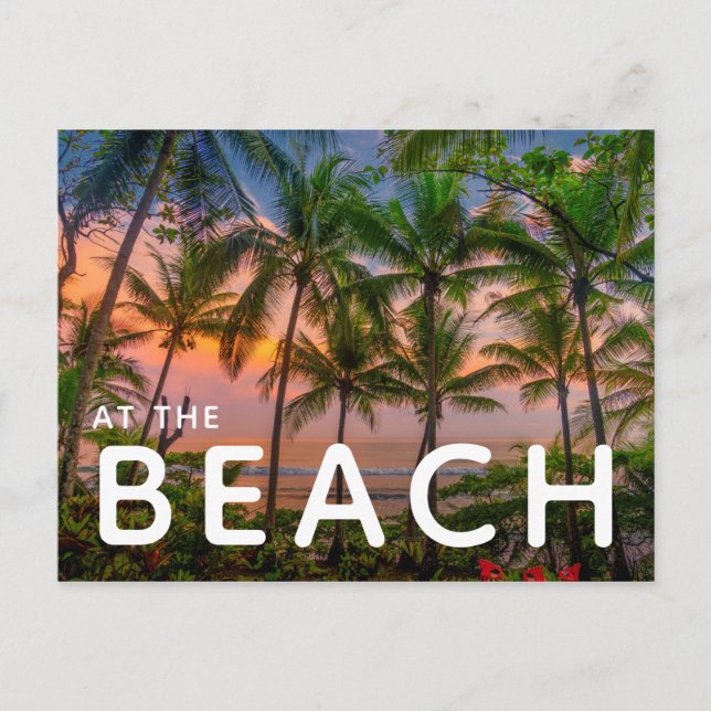Tropical Beach | Corcovado National Park Postcard (Front)
