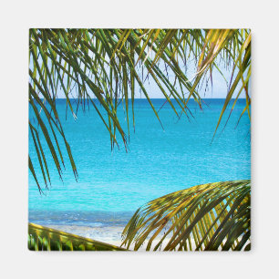 Tropical Beach framed with Palm Fronds Magnet