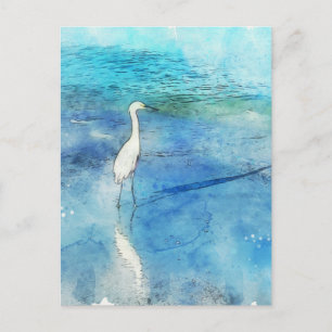 Tropical Beach in Teal Aqua Turquoise Blue Postcard