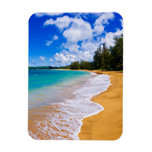 Tropical beach paradise, Hawaii Magnet