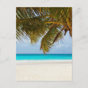 Tropical beach postcard