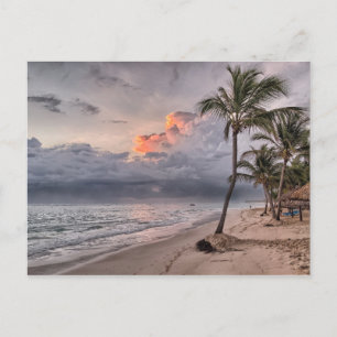 tropical beach postcard