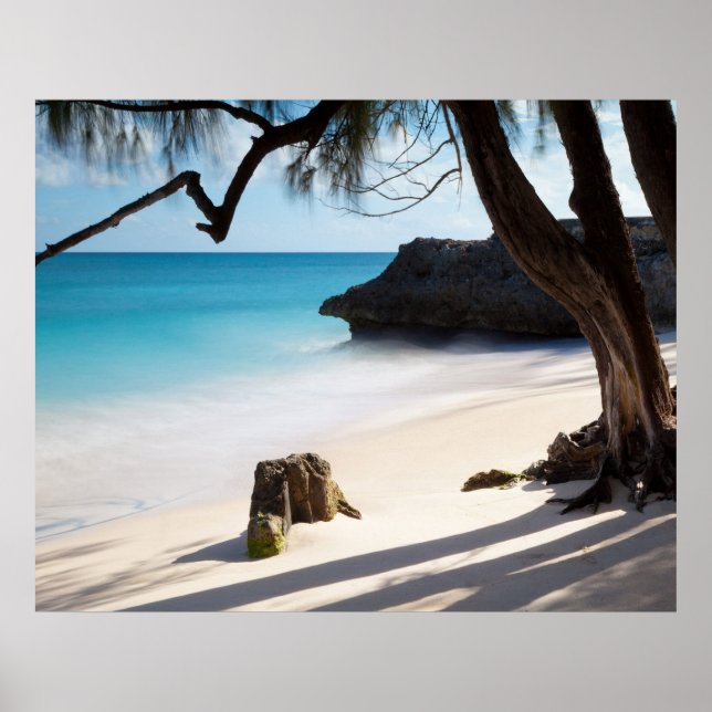 Tropical Beach Poster (Front)