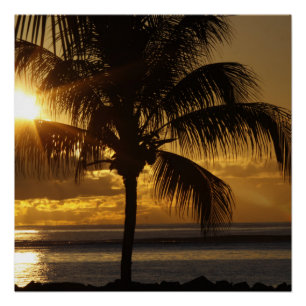 Tropical Beach Poster