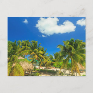 Tropical beach resort, Belise Postcard