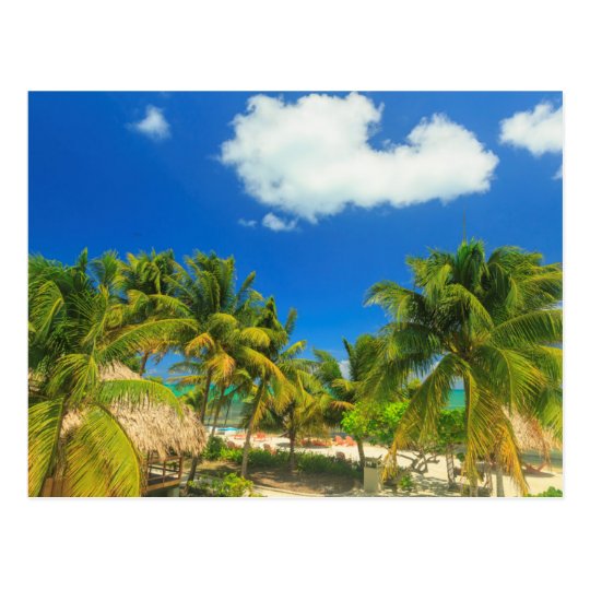 Tropical beach resort, Belise Postcard