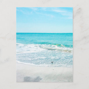 Tropical Beach Sand Ocean Waves Sea Shells Gulf Postcard