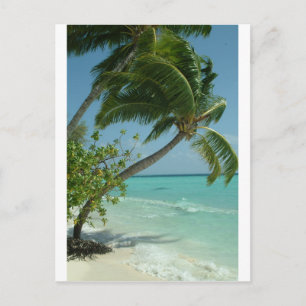Tropical Beach Sand Sun Water Ocean Waves Surf Art Postcard