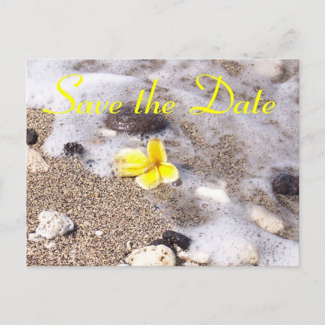 Tropical Beach Save the Date Plumeria Announcement Postcard (Front)