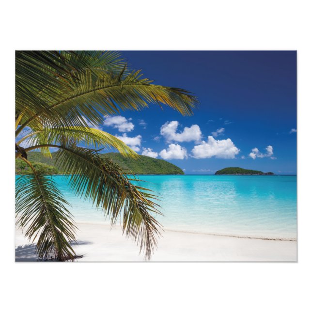 Tropical Beach Scene Photo Print (Front)